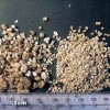 По свойствам и легкости применения и по цене выбрать вермикулит?